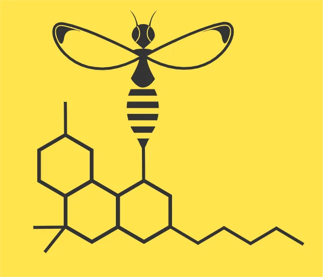 Hive